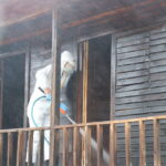 kahverengi kokarcalar kislaklardan cikmadan imha ediliyor 49bb81edc081