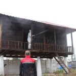 kahverengi kokarcalar kislaklardan cikmadan imha ediliyor cc6a8bbb966b