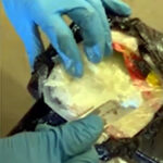 kapikulede otomobilde 8 kilo 60 gram kokain ele gecirildi 05b73cee2876