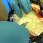 kapikulede otomobilde 8 kilo 60 gram kokain ele gecirildi 6f251ac847d3