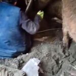 Kars’ta ahır çöktü, çoban son anda kurtuldu 3 karsta ahir coktu coban son anda kurtuldu 23c928b1c418
