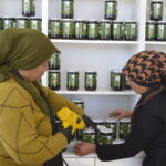 Köylü kadınların kooperatifi gelirlerini depremzede kadınlara bağışlıyor 7 koylu kadinlarin kooperatifi gelirlerini depremzede kadinlara bagisliyor 3acd1e582bd0