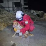 kuruyan betonda mahsur kalan paris 7 saat sonra ozgurlugune kavustu 281f5e31c026