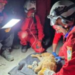 kuruyan betonda mahsur kalan paris 7 saat sonra ozgurlugune kavustu 5edc4199f7ae