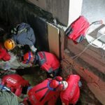 kuruyan betonda mahsur kalan paris 7 saat sonra ozgurlugune kavustu 8762b3337275