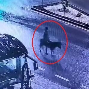 Kuyumcu dükkanından ziynet eşyası çalıp, eşekle kaçan sanığa 16 yıla kadar hapis istemi