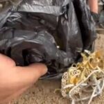 kuyumcu dukkanindan ziynet esyasi calip esekle kacan saniga 16 yila kadar hapis istemi db333f669617