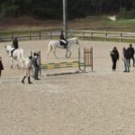 lale apa kupasi engel atlama yarislari kadinlar gununde kemer country clubda duzenlendi 46837b5715f5