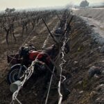 Manisa'da sepetli motosiklet üzüm bağına devrildi: 1 ölü 1 manisada sepetli motosiklet uzum bagina devrildi 1 olu d88505d6a252