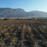 manisada taskin sonrasi su icinde kalan gediz ovasi normale dondu e2b918310acb