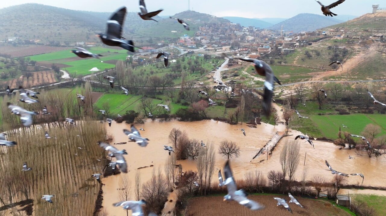 mardinde saganak dereler tasti evler ile tarim arazilerini su basti 4 b915593e0660