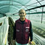 mersinde ciftciler kilosu 5 bin tlye satilan kuzugobegi mantari uretimini ogrenecek 8c817bcf1c80