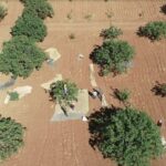 metrekareye 413 kilogram yagis dusen gaziantepte yesil altin icin yuksek rekolte beklentisi 51f69189c988