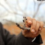 metrekareye 413 kilogram yagis dusen gaziantepte yesil altin icin yuksek rekolte beklentisi 98465f9d34a2