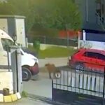 minibus ile motosikletin carpistigi kaza kamerada 2 yarali 800d78392192