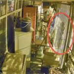 osmaniyede calinti aracla hirsizlik kamerada 1 tutuklama 60442f2a5e1b