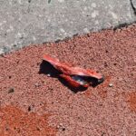 oynadiklari helyum gazi dolu balonlar patladi 2 yarali 8cd19d93897a