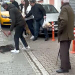 pitbullun saldirdigi reis isimli kopek agir yaralandi 10b4a12c0b89