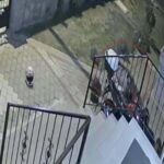 savci restorator tugbanin esi icin kasten oldurmeden suc duyurusunda bulunulmasini istedi 9cddcaf5ac2f