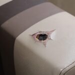 silikon maskeli saldirganlar zorla girdikleri evde kursun yagdirdi anne ve oglu yaralandi 1ff0c592aee4