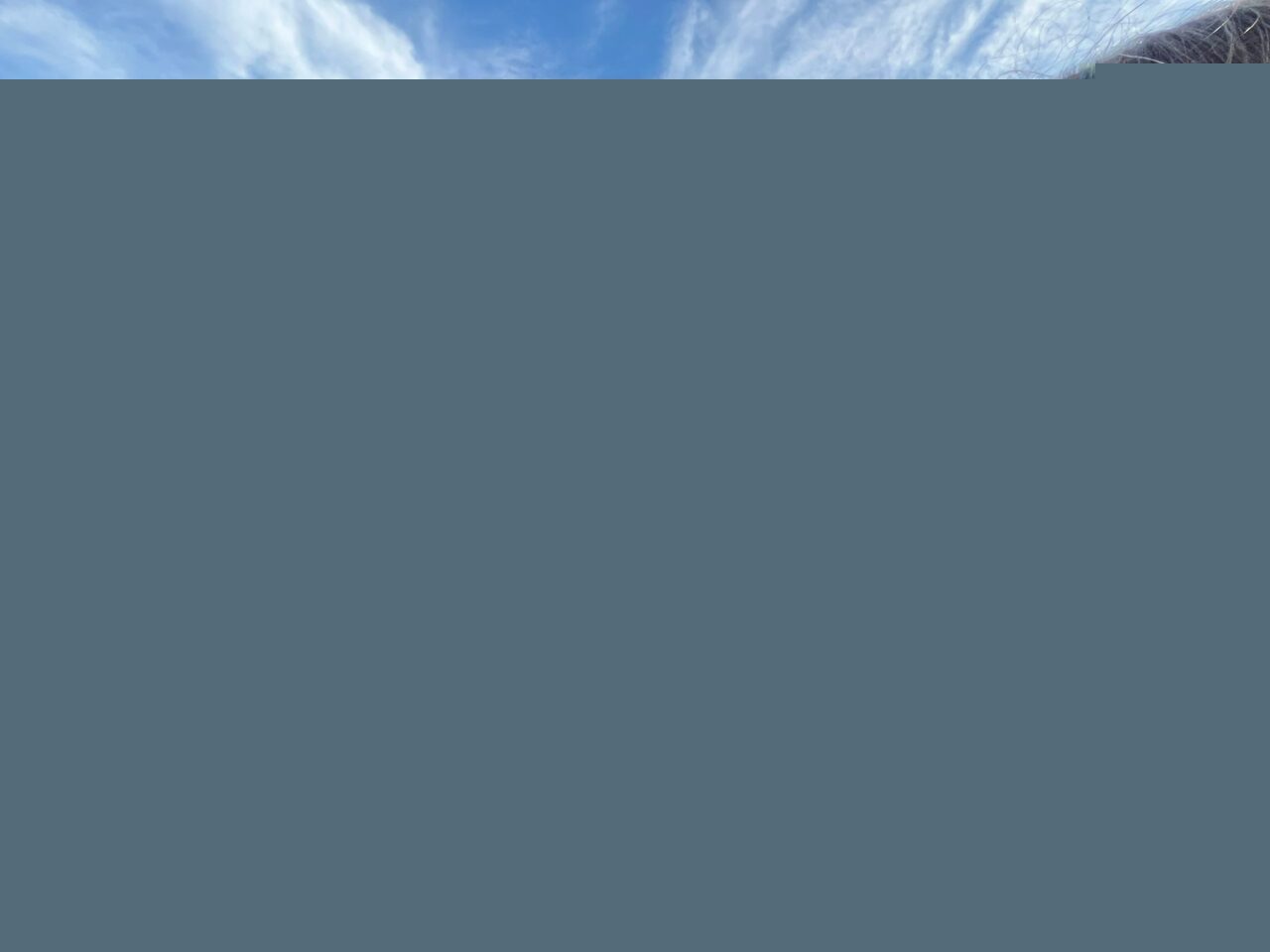 SMA Tip-2 hastası Rüzgar bebek için yüzlerce mavi balon gökyüzüne bırakıldı