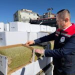 tekirdagda baklavada kullanilacak 2 ton aflatoksinli fistik ele gecirildi 69cc9518df37