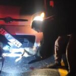 tilki kendisine carpan aracin tamponuna sikisti 0f00ef24335b