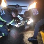 tilki kendisine carpan aracin tamponuna sikisti 1a2b8e402483