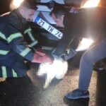 tilki kendisine carpan aracin tamponuna sikisti 2555aea76f99