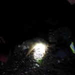 tilki kendisine carpan aracin tamponuna sikisti 2fdbd4c62529