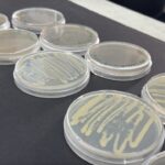 turk bilim insanlari antarktikadaki mikroorganizmalari tarima kazandirmayi hedefliyor 425044cd3d78