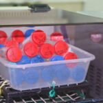 turk bilim insanlari antarktikadaki mikroorganizmalari tarima kazandirmayi hedefliyor 7cb7ec6649e7