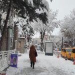 vanda 216 mahalle ve mezra yolu ulasima kapandi 4125e0b33f6d