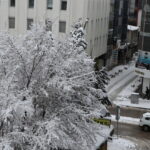 vanda 216 mahalle ve mezra yolu ulasima kapandi 9d6f24a8a470