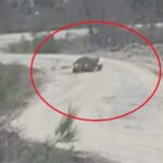 Vaşak, yaralı karacayı yerken görüntülendi 1 vasak yarali karacayi yerken goruntulendi bc9e325f54a9