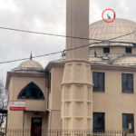 yaban hayati gozlemcisinden leylegin bozulan yuvasi icin cagri 2 e5236590cfc5