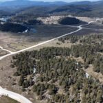 yaylalar baharin habercisi cigdem cicekleri ile renklendi 1d58ee8342e5