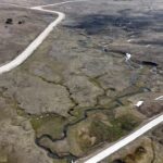 yaylalar baharin habercisi cigdem cicekleri ile renklendi c548e5f561fc