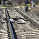 yolcu treninin carptigi kadin oldu 6681f37a87ef