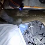 Yolcunun valizinden 4 kilo uyuşturucu çıktı 1 yolcunun valizinden 4 kilo uyusturucu cikti 699d8d47b7aa